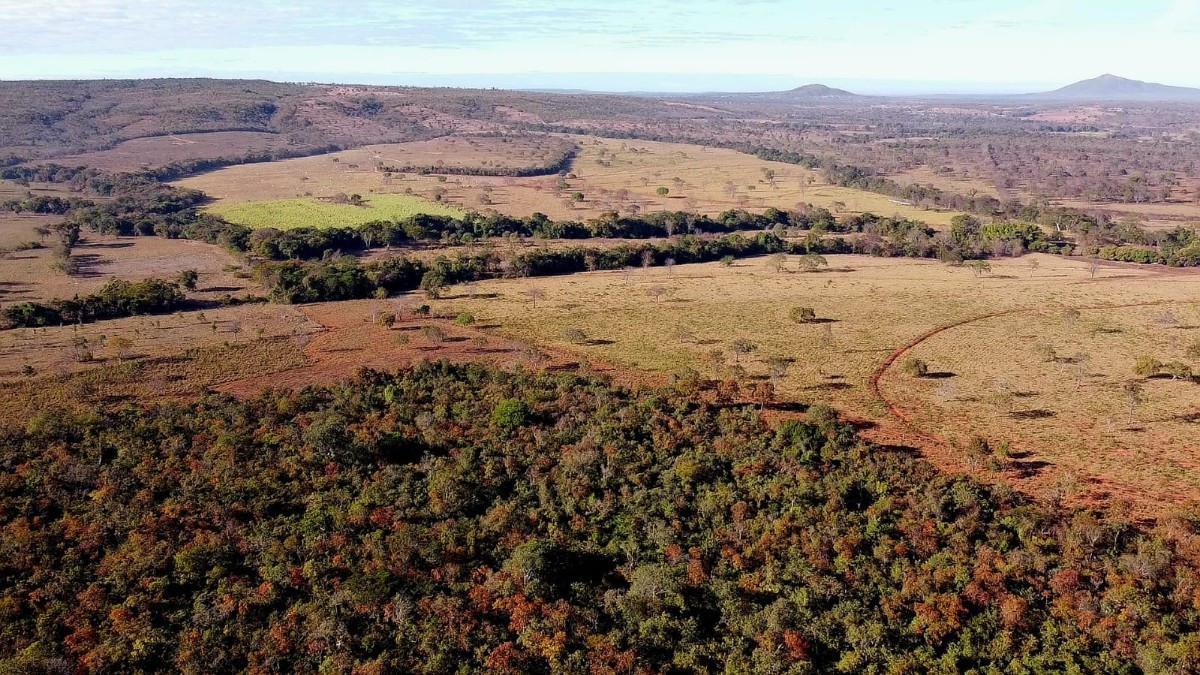 Fazenda, Zona Rural, 0 Quarto, 0 Vaga, 5 Suítes