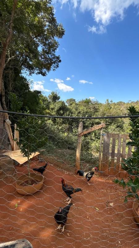 Fazenda, Redentor, 2 Quartos, 4 Vagas, 1 Suíte