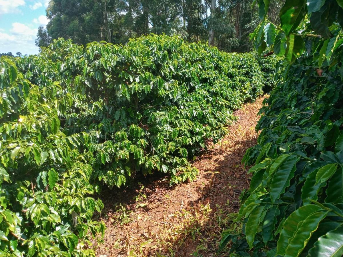 Fazenda, Zona Rural, 0 Quarto, 0 Vaga
