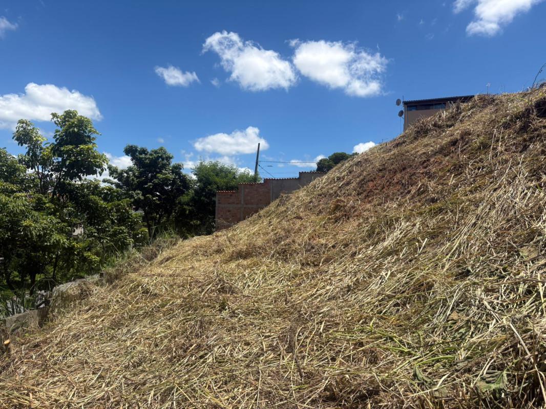 Lote, Santa Mônica, 0 Quarto, 0 Vaga