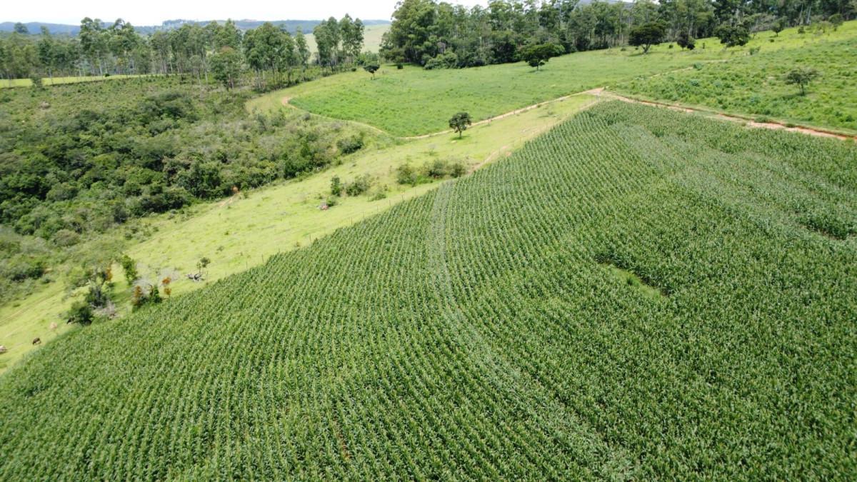 Fazenda, Zona Rural, 0 Quarto, 0 Vaga