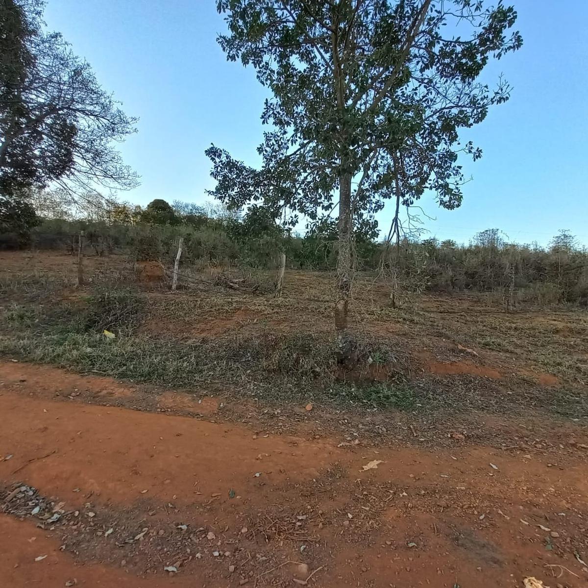 Fazenda, Zona Rural, 0 Quarto, 0 Vaga