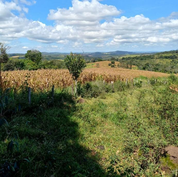 Fazenda, Centro, 3 Quartos, 0 Vaga