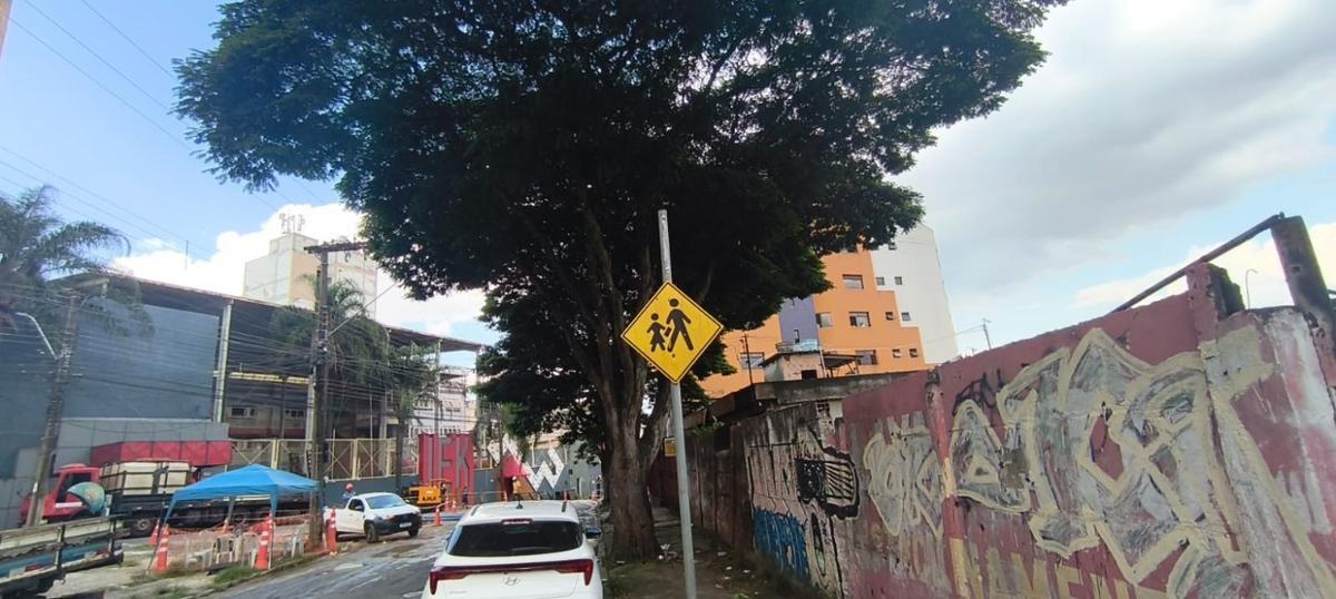 Lote, Santa Cruz Industrial, 0 Quarto, 0 Vaga