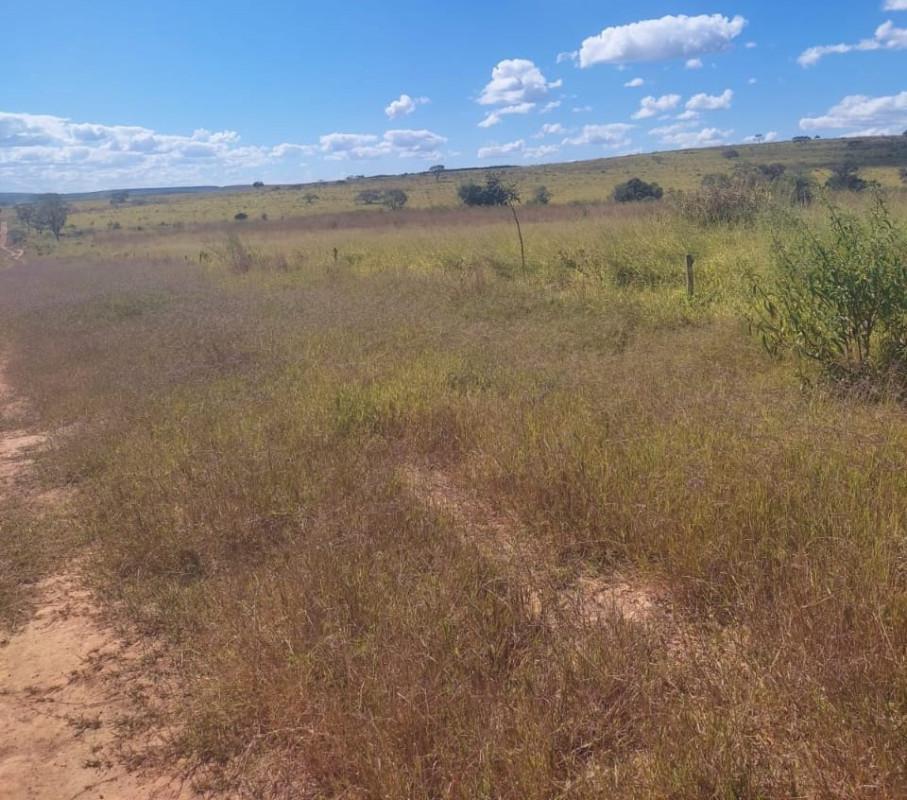 Fazenda, Zona Rural, 0 Quarto, 0 Vaga