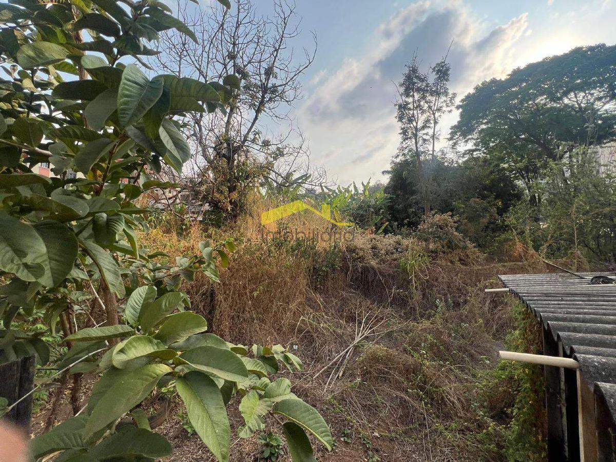 Lote, Cinquentenário, 5 Vagas