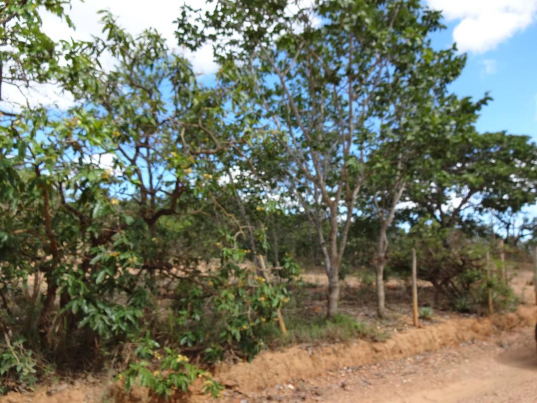 Fazenda, Zona Rural, 1 Quarto, 0 Vaga, 1 Suíte
