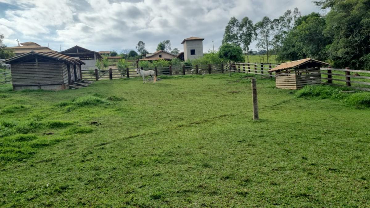 Fazenda, Centro, 3 Quartos, 3 Vagas, 1 Suíte