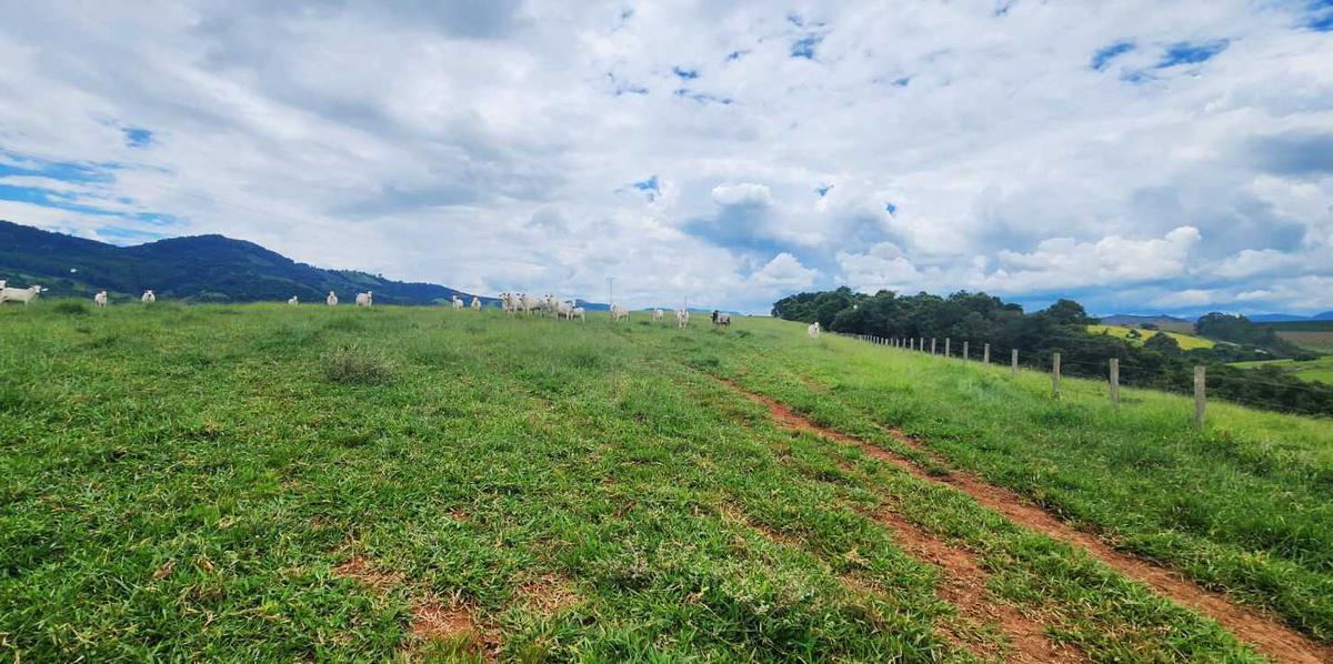 Fazenda, Zona Rural, 3 Quartos, 1 Vaga