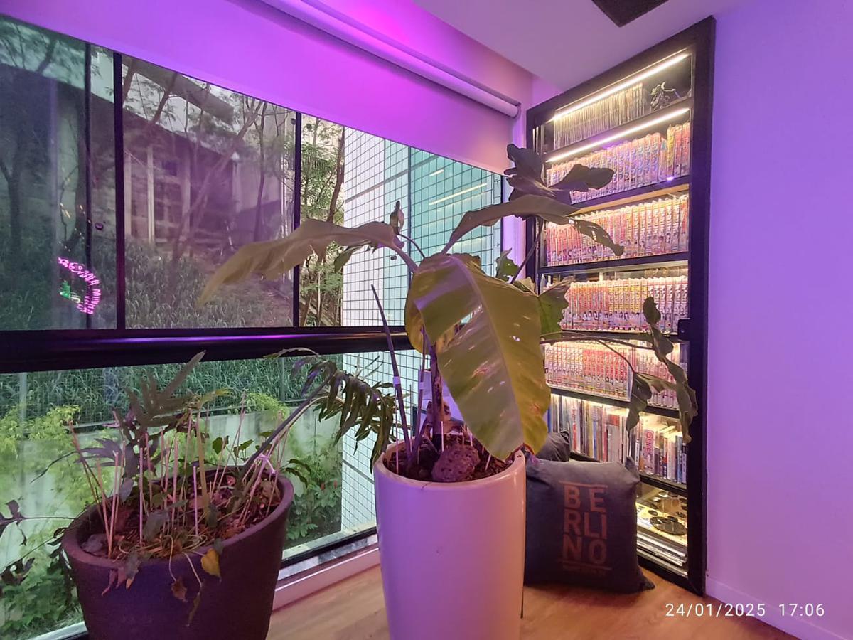 Apartamento, Sion, 1 Quarto, 2 Vagas, 1 Suíte