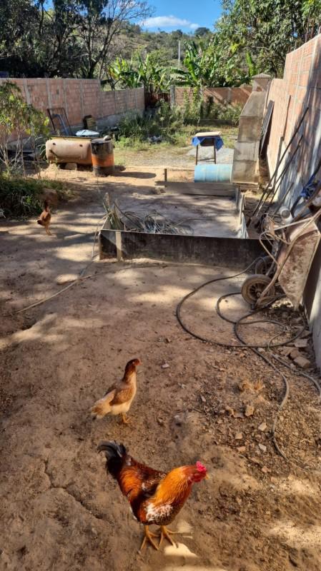 Casa, Girassol, 4 Quartos, 6 Vagas, 3 Suítes