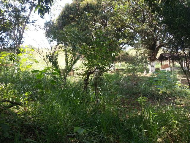 Lote, Parque Jardim Encantado, 2 Quartos, 10 Vagas, 0 Suíte