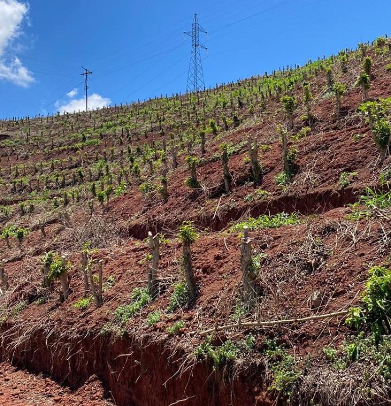 Fazenda, Zona Rural, 0 Quarto, 0 Vaga