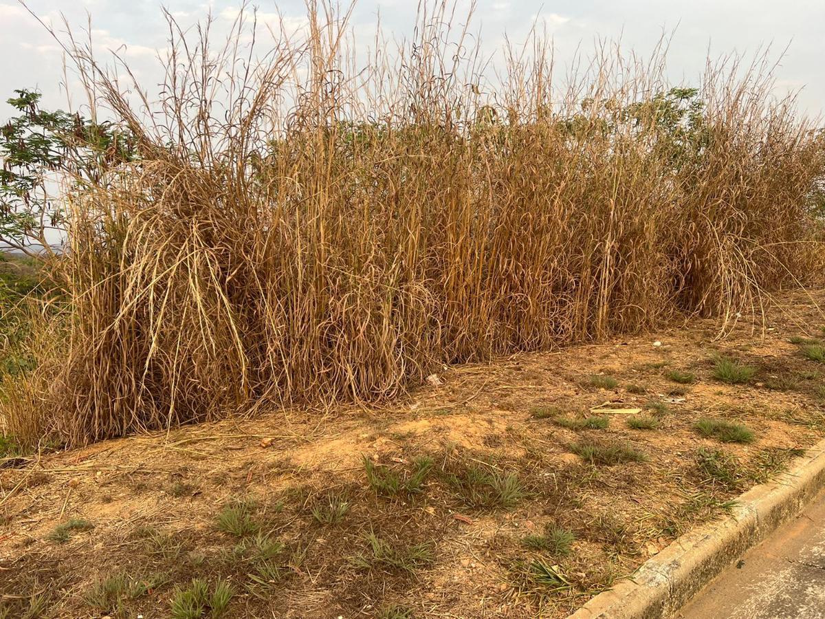 Lote, Residencial Parque dos Buritis, 0 Quarto, 0 Vaga