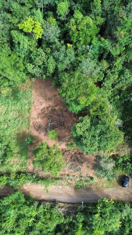 Lote, Terra Santa, 0 Quarto, 0 Vaga