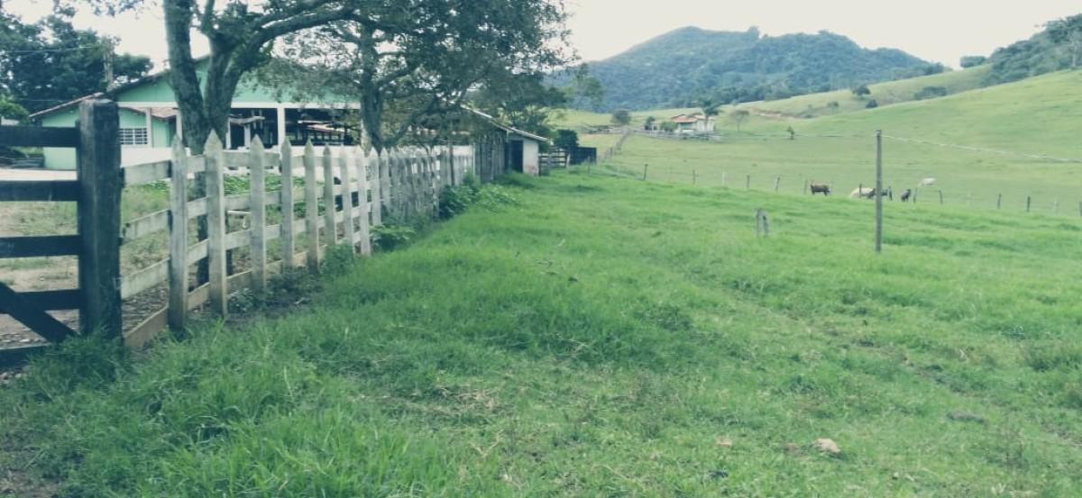 Fazenda, Zona Rural, 3 Quartos, 0 Vaga