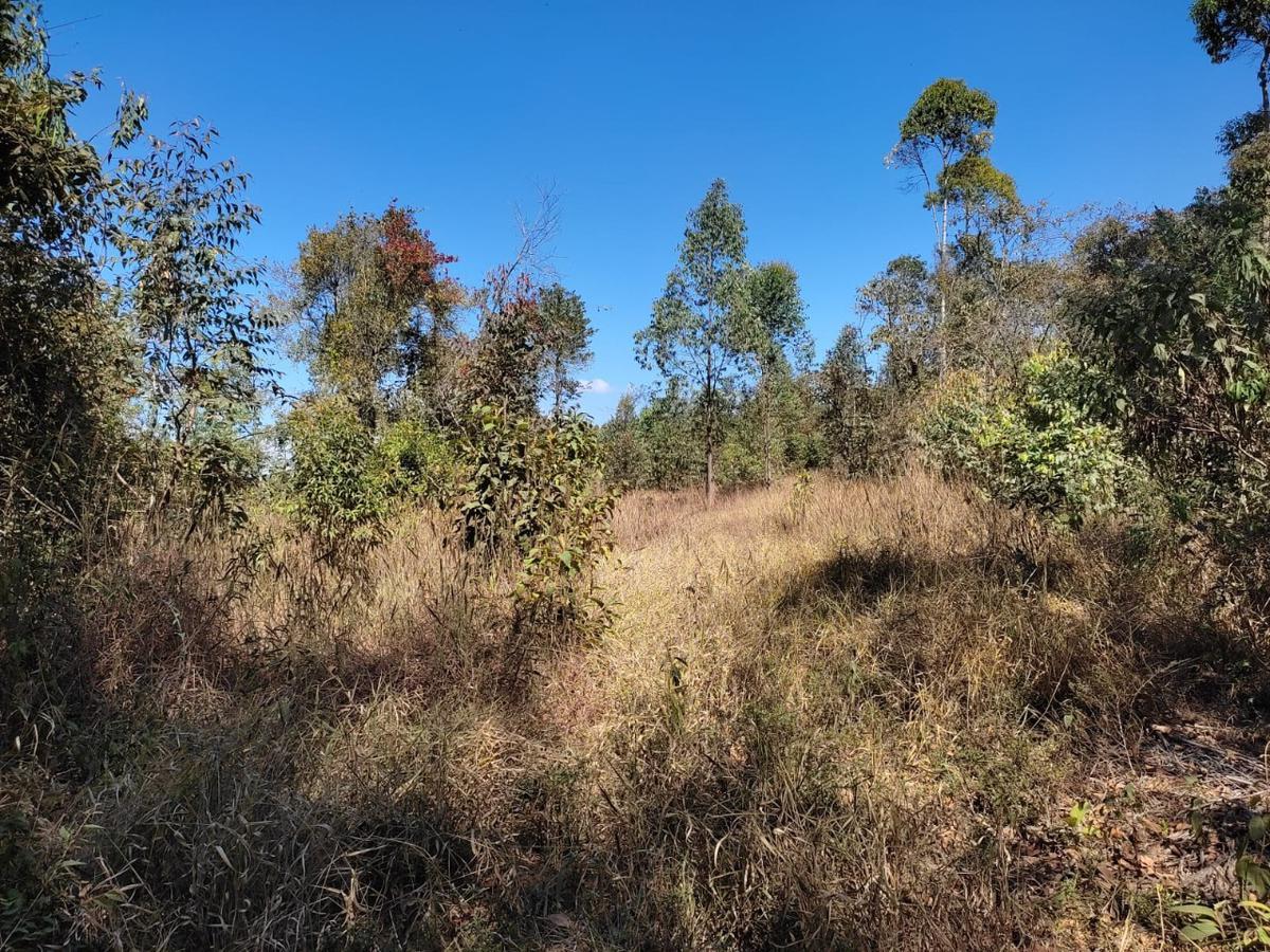 Lote, Penedo, 0 Quarto, 0 Vaga