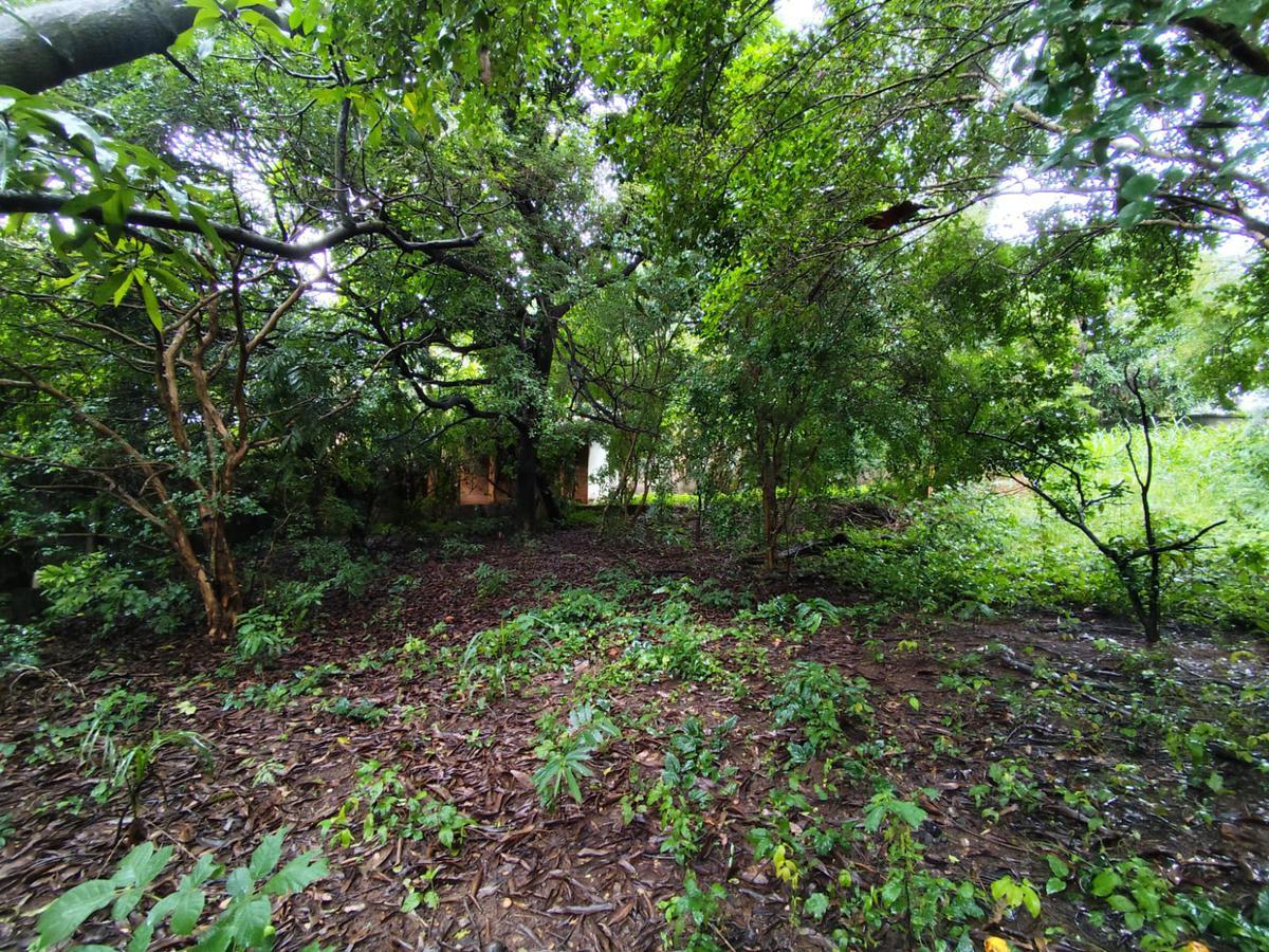 Lote, Trevo, 0 Quarto, 0 Vaga