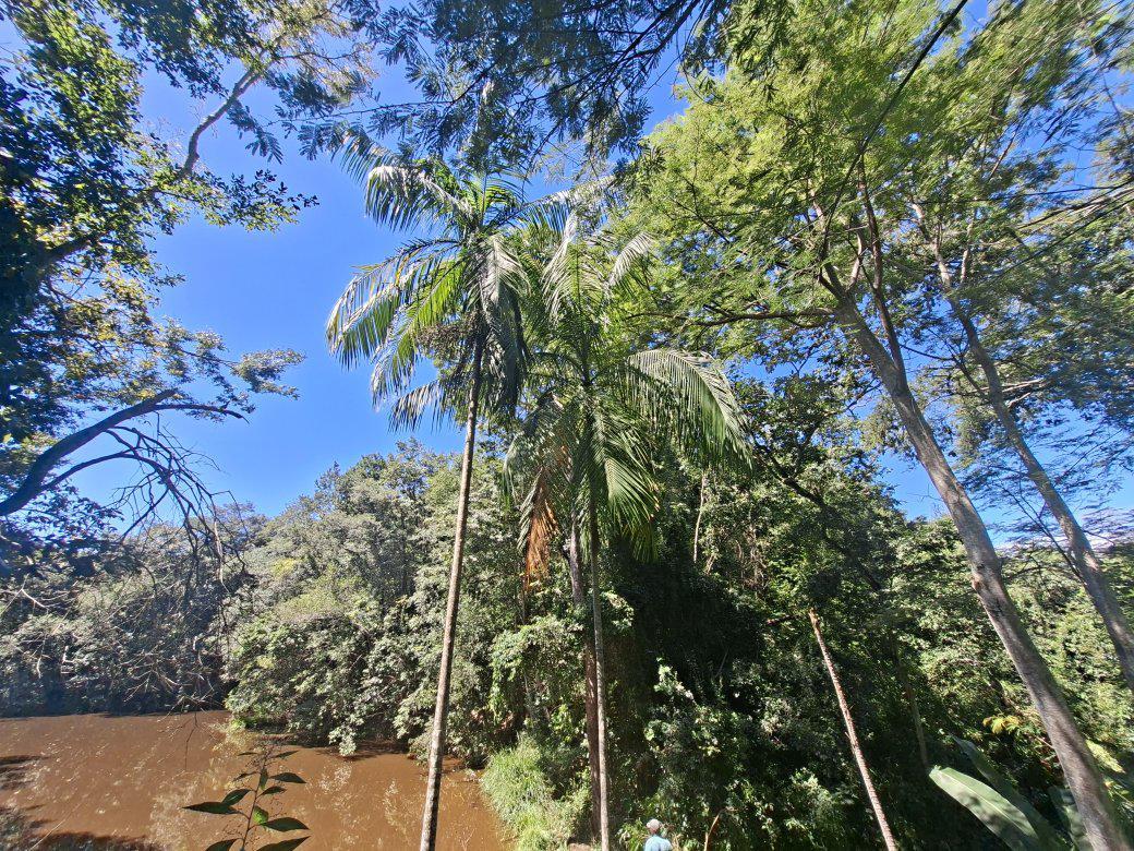 Fazenda, Nova Esmeraldas, 4 Quartos, 4 Vagas, 1 Suíte