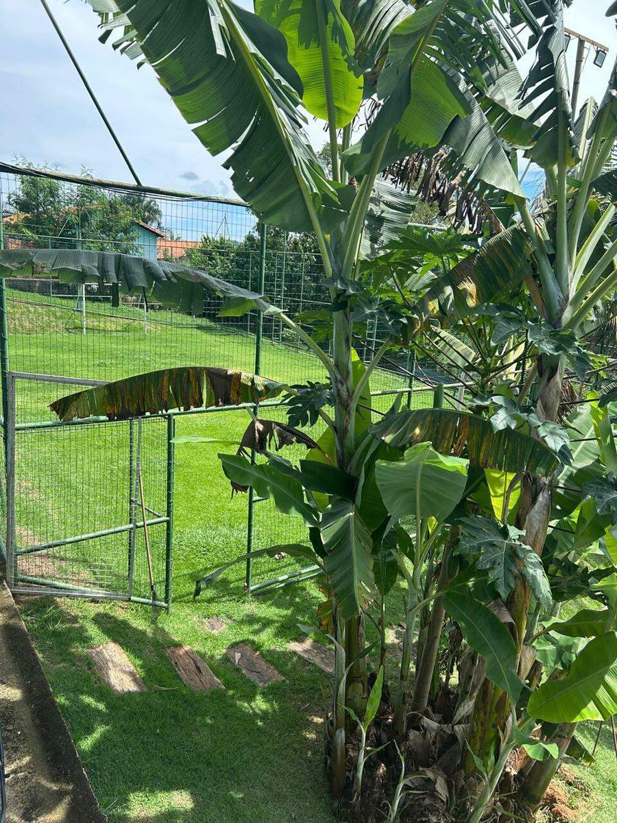Fazenda, Comunidade da Volta, 4 Quartos, 10 Vagas, 1 Suíte