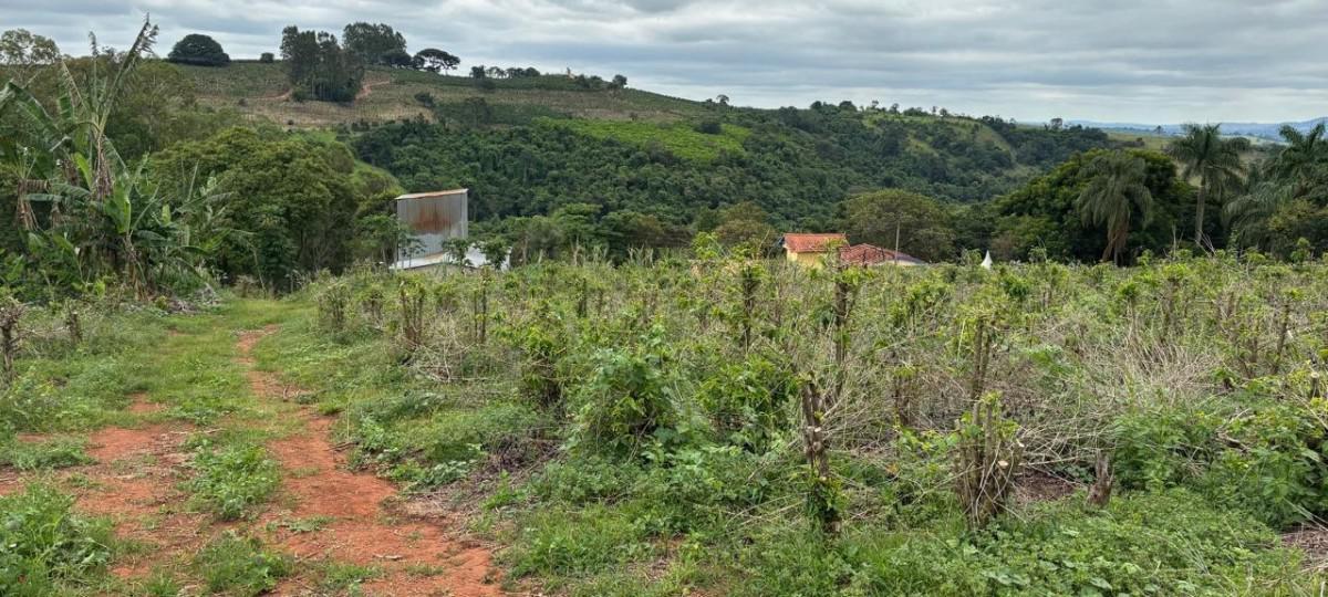 Fazenda, Zona Rural, 0 Quarto, 0 Vaga