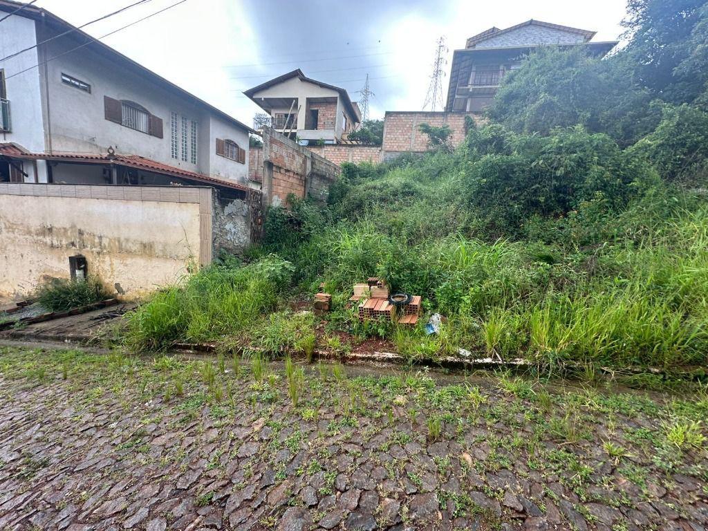 Lote, Vila Real, 0 Quarto, 0 Vaga