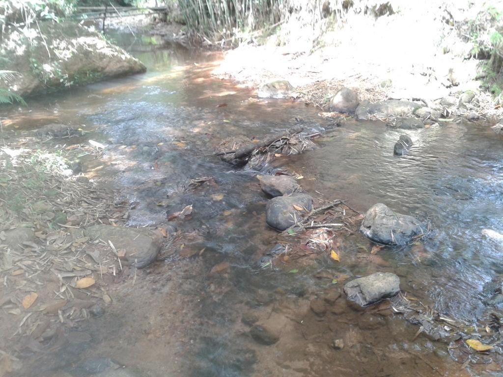 Fazenda, Centro, 3 Quartos, 10 Vagas, 1 Suíte