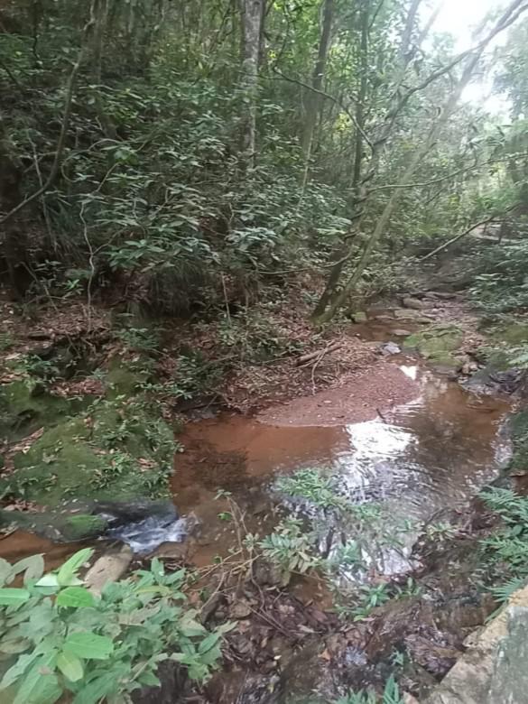 Lote, Honório Bicalho, 0 Quarto, 0 Vaga