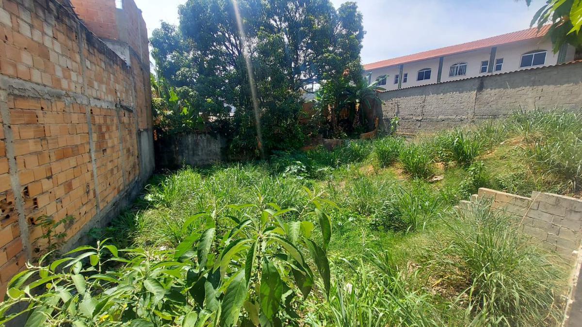 Lote, Santa Cruz, 0 Quarto, 0 Vaga