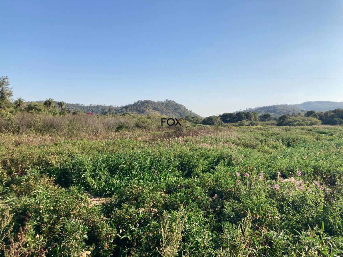 Lote, Centro, 0 Quarto, 0 Vaga