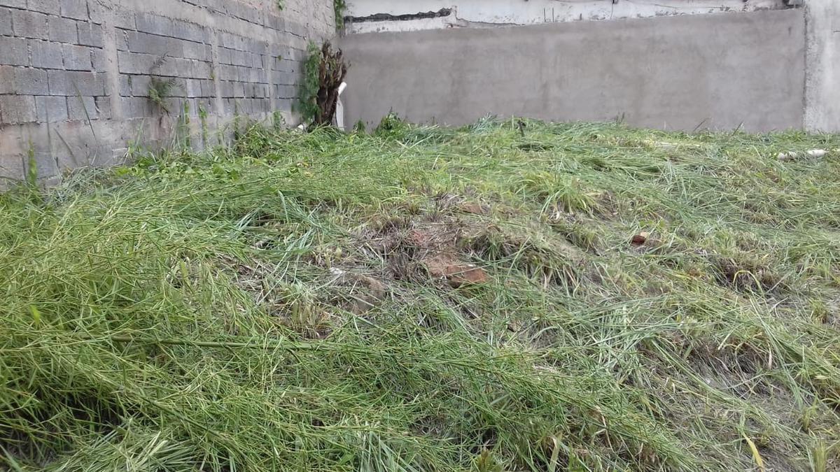 Lote, Nova Floresta, 0 Quarto, 0 Vaga