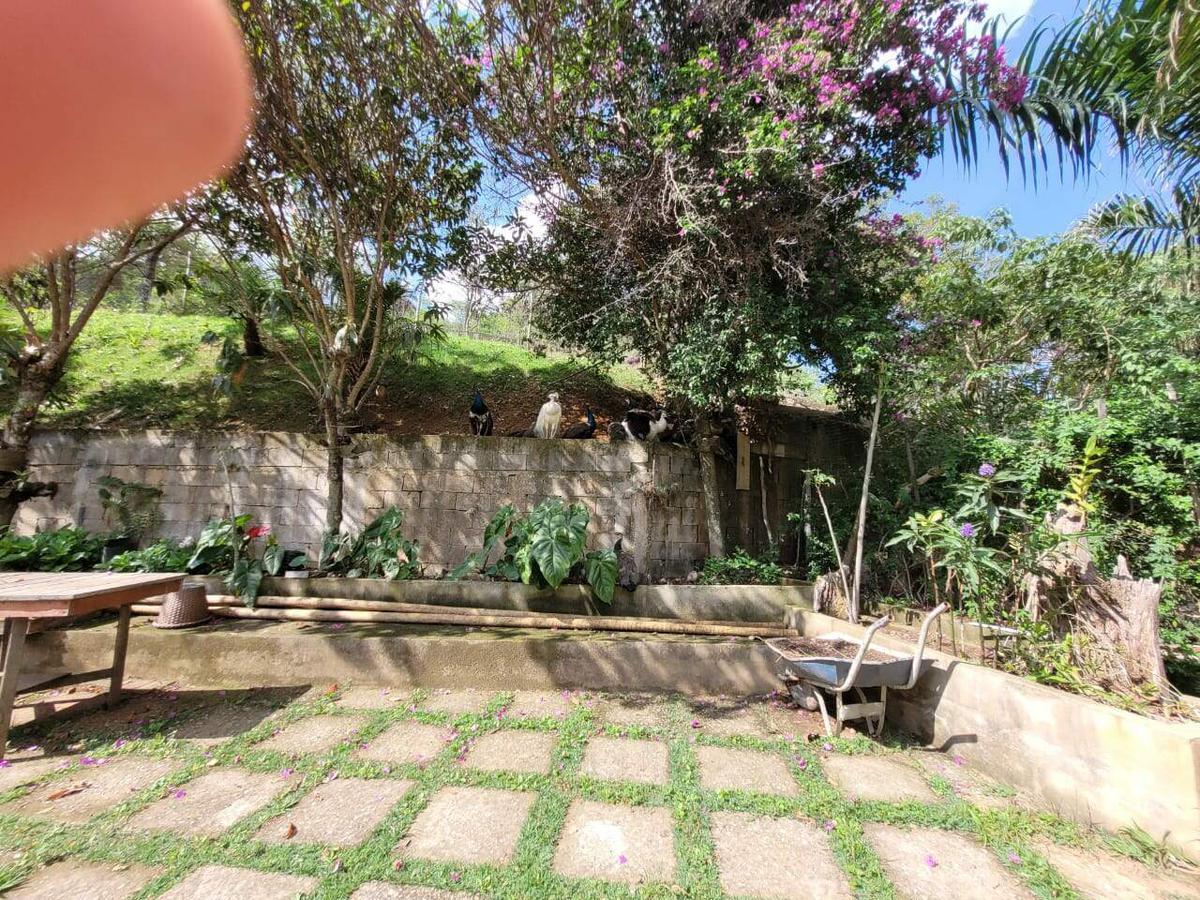 Fazenda, Caracois de Baixo, 4 Quartos, 12 Vagas, 1 Suíte