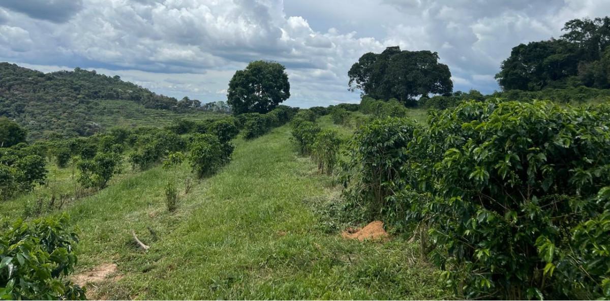 Fazenda, Zona Rural, 0 Quarto, 0 Vaga