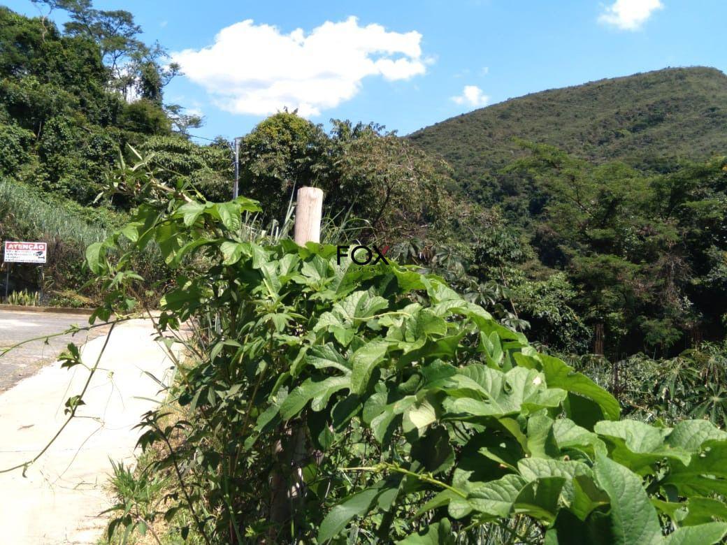 Lote, Estoril, 0 Quarto, 0 Vaga