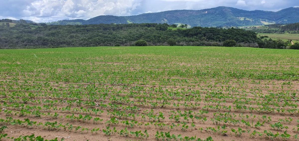 Fazenda, Centro, 1 Quarto, 1 Vaga, 1 Suíte