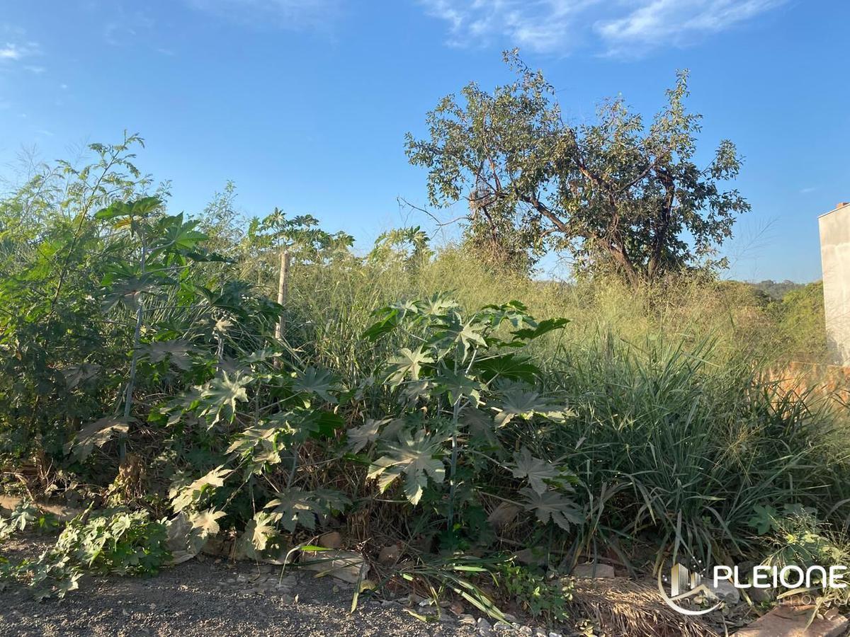Lote, Antunes, 0 Quarto, 0 Vaga