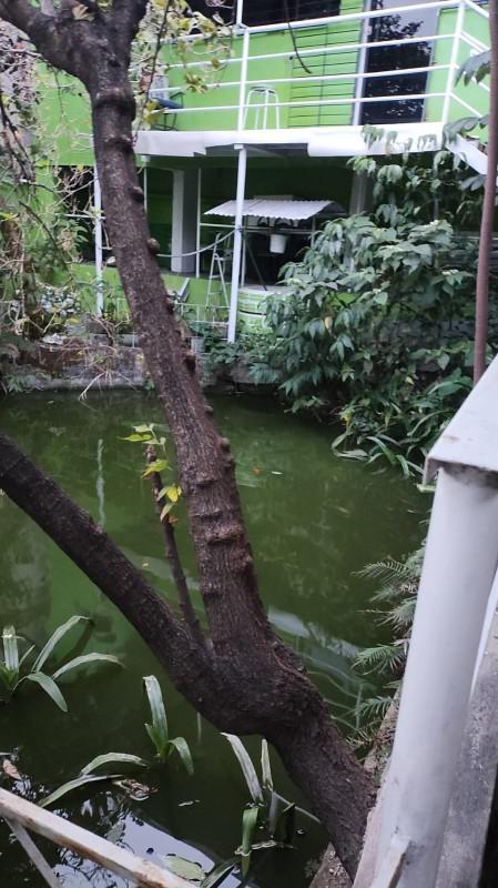 Fazenda, Palmares, 3 Quartos, 3 Vagas