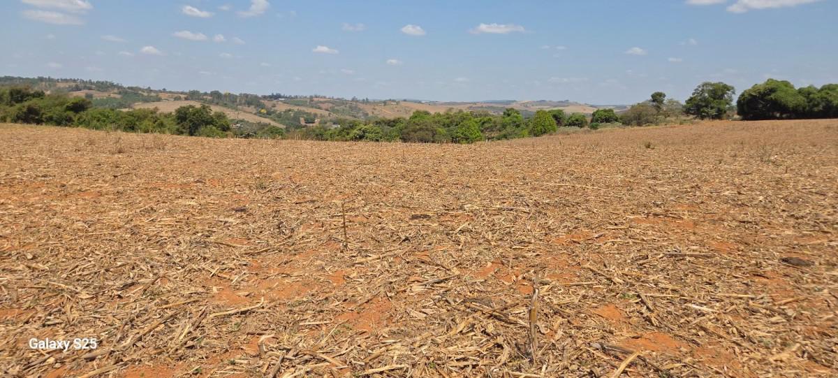 Fazenda, Centro, 1 Quarto, 21 Vagas, 1 Suíte