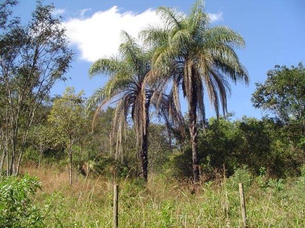 Lote em Condomínio, Condomínio Mãe Terra