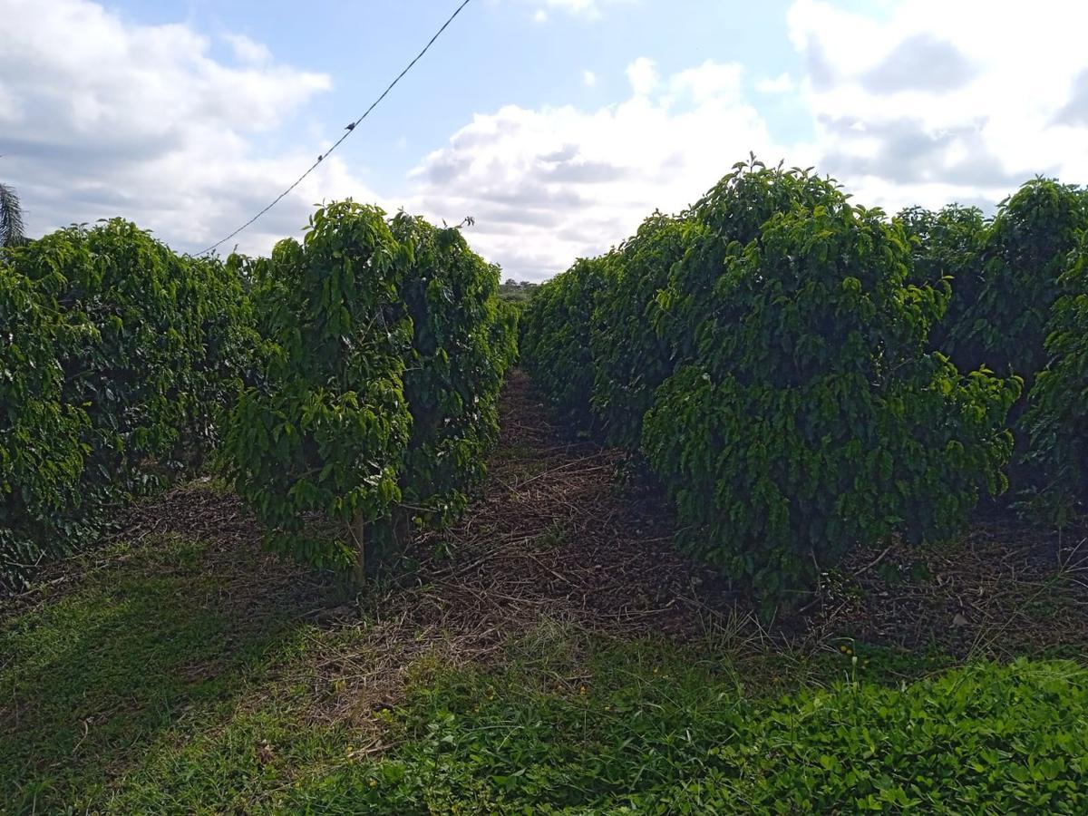 Fazenda, Zona Rural, 0 Quarto, 0 Vaga