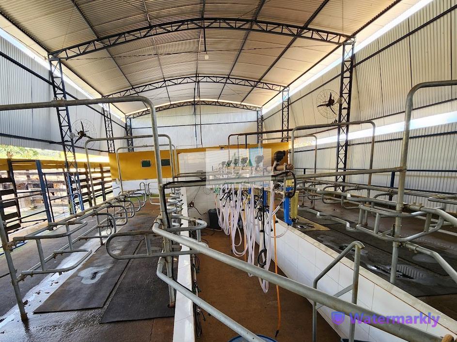 Fazenda, Centro, 6 Quartos, 4 Vagas, 1 Suíte