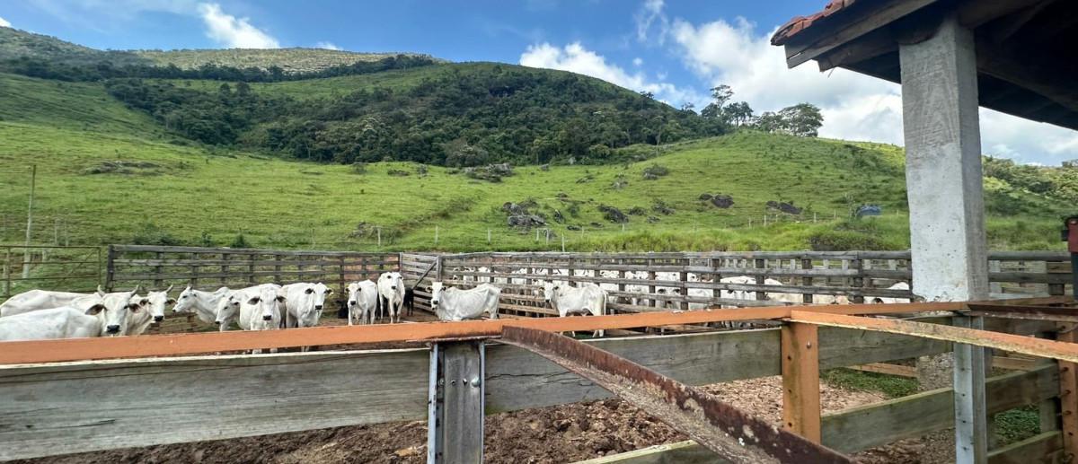 Fazenda, Zona Rural, 0 Quarto, 0 Vaga