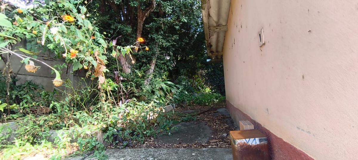 Lote, Santa Cruz, 0 Quarto, 0 Vaga