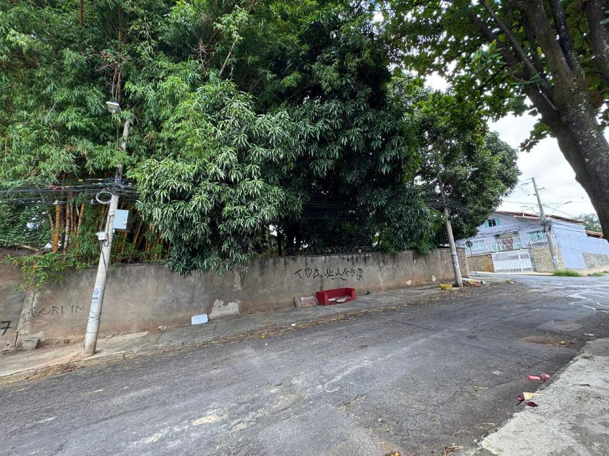 Lote, São Luiz (pampulha), 0 Quarto, 0 Vaga