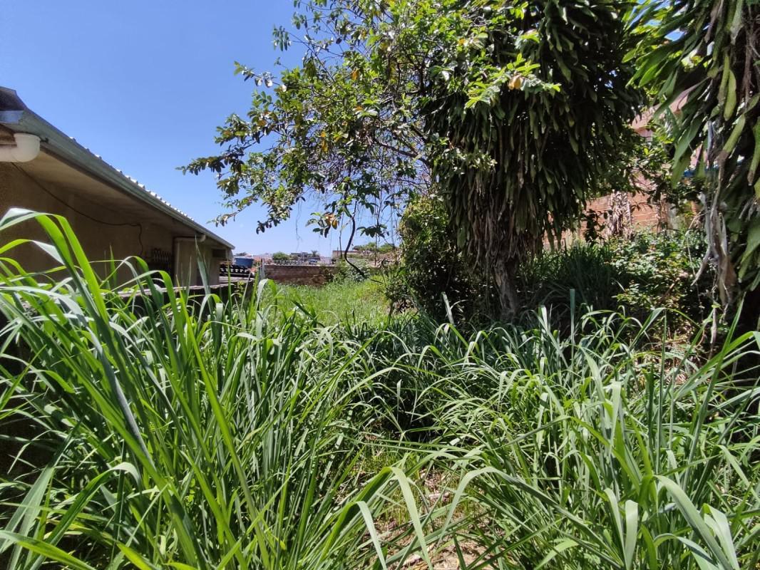 Lote, Santa Cruz, 0 Quarto, 0 Vaga