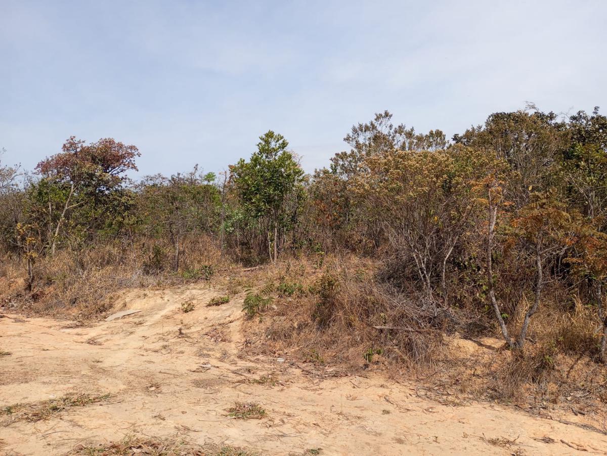 Lote, Zona Rural, 0 Quarto, 0 Vaga