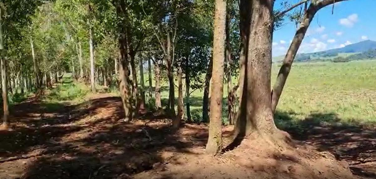 Fazenda, Centro, 0 Quarto, 0 Vaga