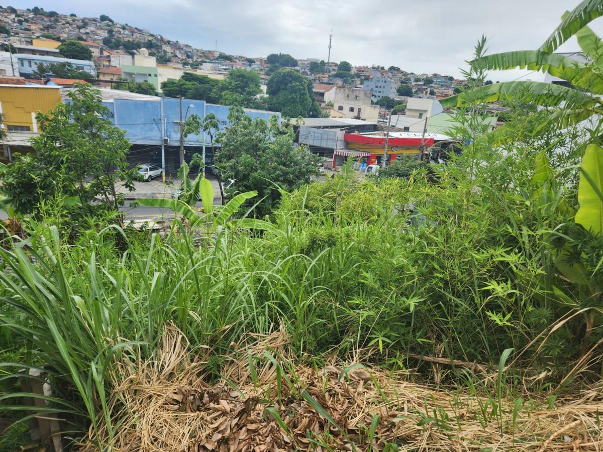 Lote, Glória, 0 Quarto, 0 Vaga