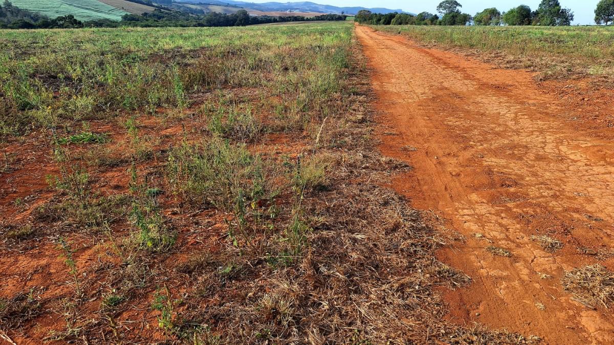 Fazenda, Zona Rural, 0 Quarto, 0 Vaga