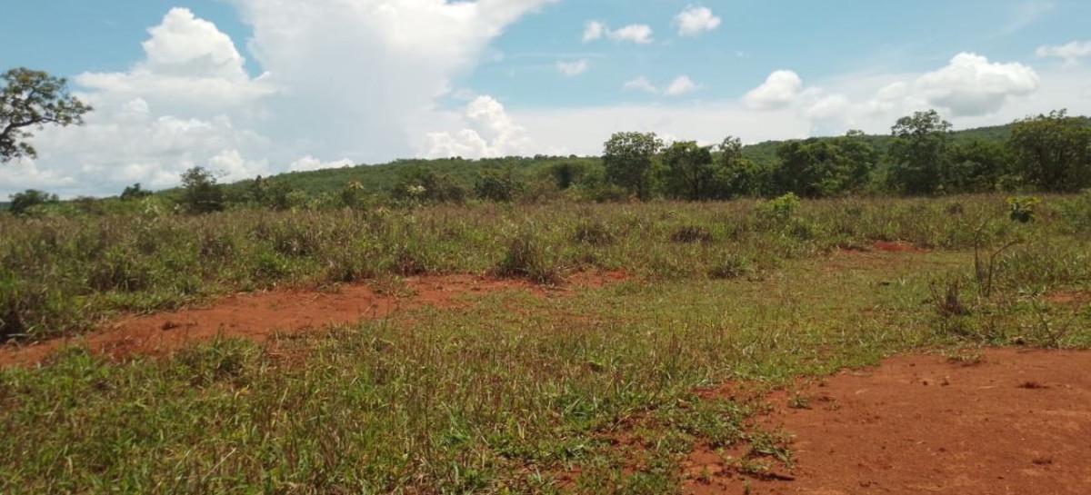 Fazenda, Zona Rural, 0 Quarto, 0 Vaga